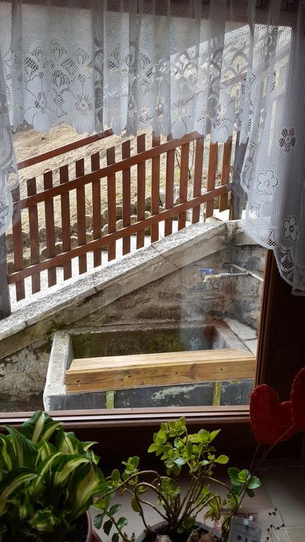 Ospitalita Diffusa Laste Dolomites - Cesa Murer Pallua Ngoại thất bức ảnh